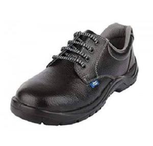 Allen Cooper AC-7002 Steel Toe Safety Shoes, Size: 10